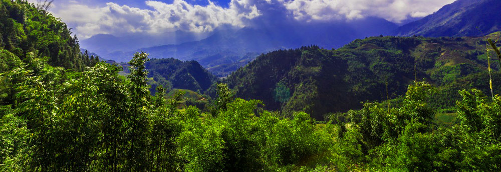 Ham Rong Mountain, Sa Pa, Lào Cai Province, Northwestern Vietnam