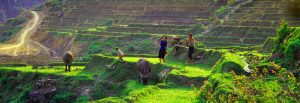 Ta Phin Village, Sa Pa, Lào Cai Province, Northwestern Vietnam