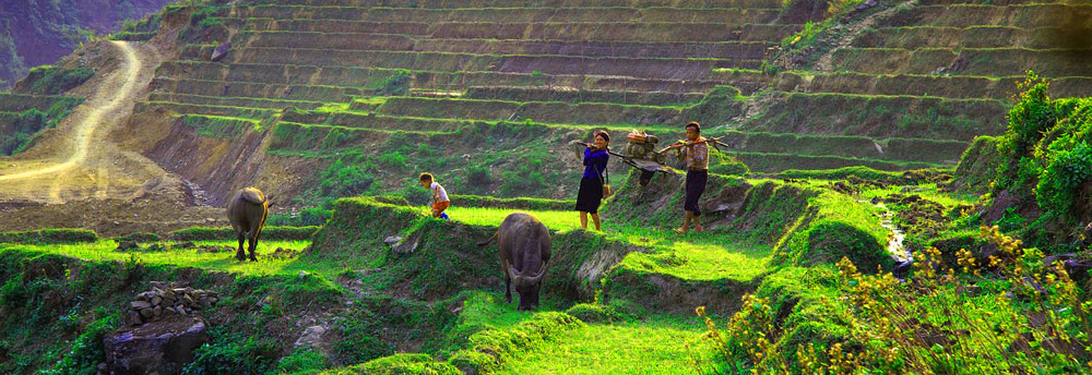 Ta Phin Village, Sa Pa, Lào Cai Province, Northwestern Vietnam