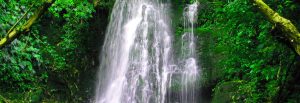 Bobla Waterfall in Dalat