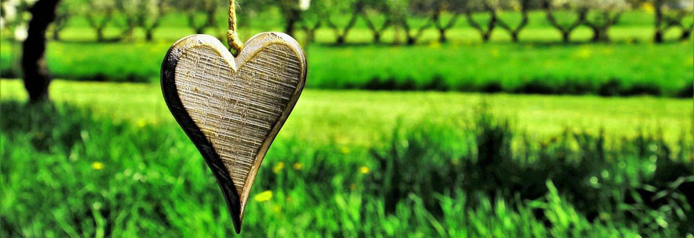 Valley of Love in Dalat