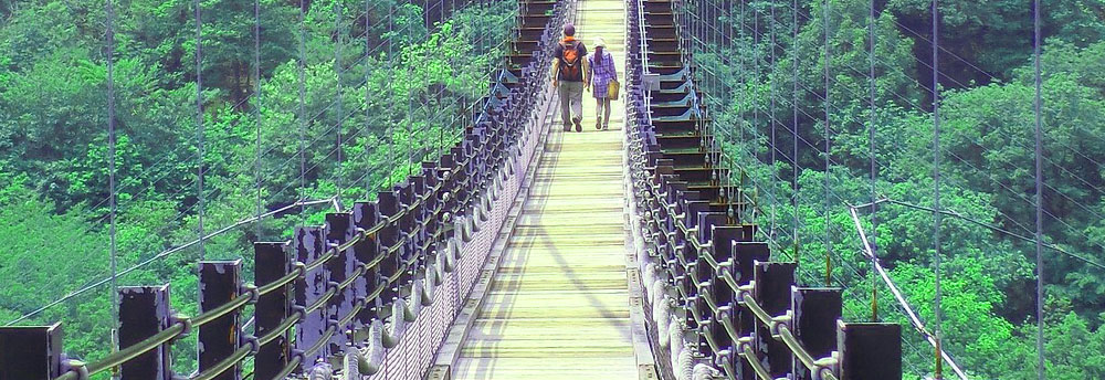 Ulu Temburong National Park | Batu Apoi Forest Reserve