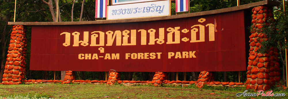 Cha Am Forest Park | Nature | Picnic & Playground | Cha Am