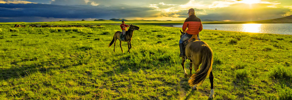 Hustai National Park | Khustai Mountains | Przewalski's Horses