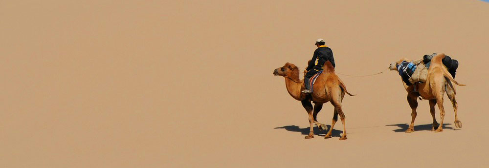Gobi Desert | Huge Dinosaur Footprint | Southern Mongolia