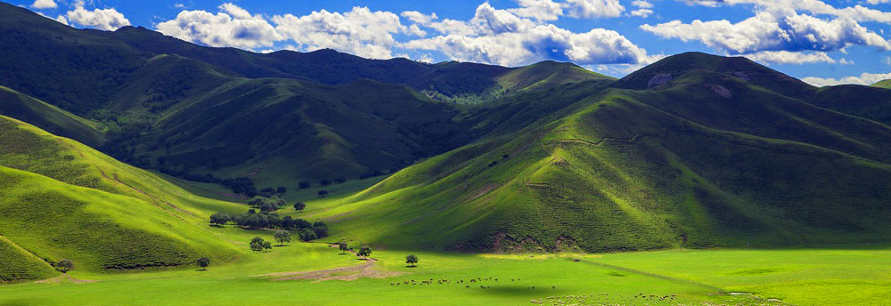 Gorkhi Terelj National Park | Valley of the Terelj River | Terelj Gol