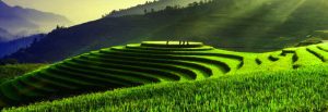 Mu Cang Chai, Yen Bai Province of Vietnam