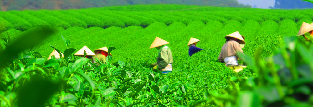 Muong Lay Điện Biên Province in the Northwest region of Vietnam