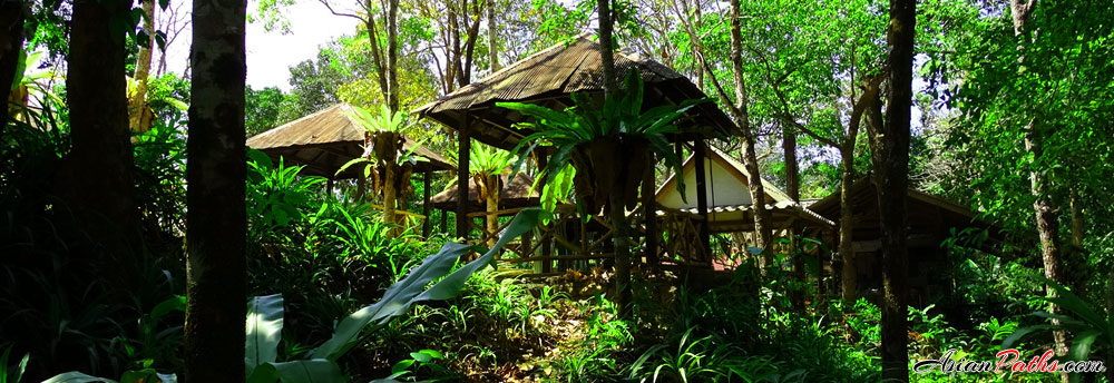 Namtok Ngao National Park | Hiking Trail Leading to Views