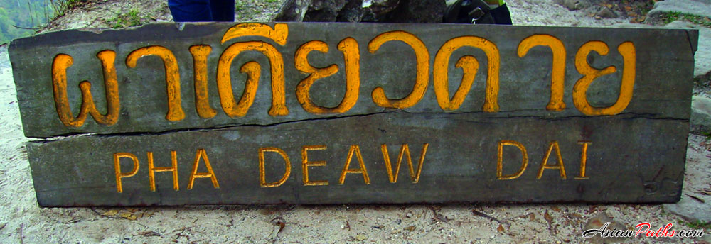 Pha Diao Dai Cliff | ASEAN Heritage Park | Khao Yai National Park