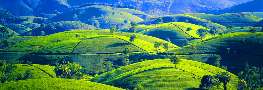 Phu Tho Province, Vietnam