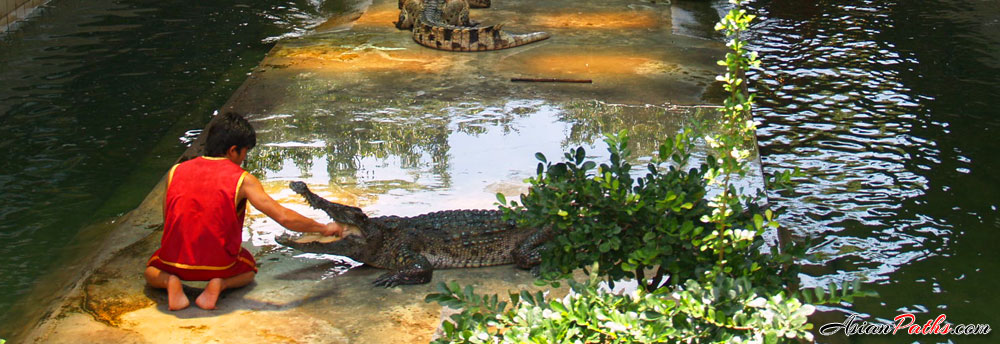 Sam Phran Elephant Ground and Zoo | Nakhon Pathom