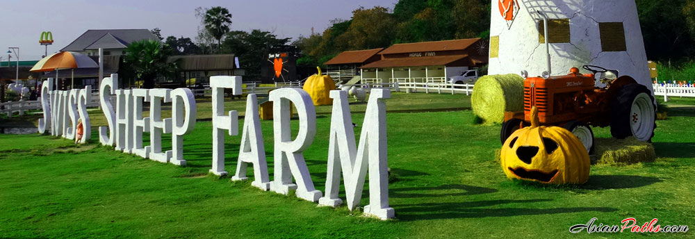 Zucata Sheep Farm | Swiss Farm | Sheep, Rabbits, Horses | Cha Am