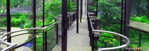 Chainat Bird Park | Bird Sanctuary | Largest Aviary in Asia | Chai Nat