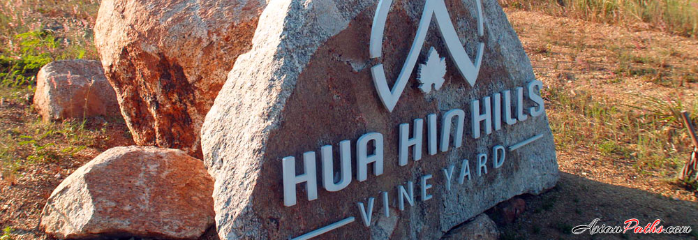 Hills Valley Vineyard | Scenic Mountain Valley | Hua Hin