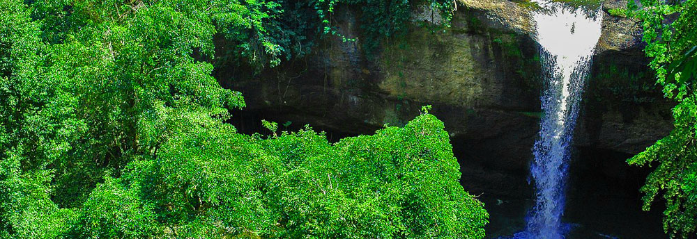Khao Yai National Park | Thailand's first & Third Largest National Park