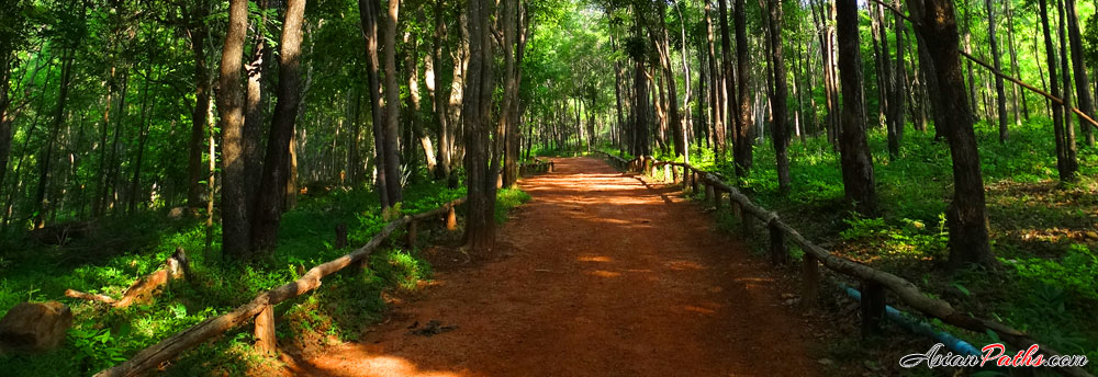 Sai Thong National Park | Phang Hoei Mountain Range | Chaiyaphum