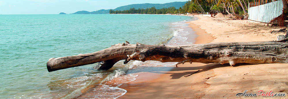 Lipa Noi Beach | Koh Samui