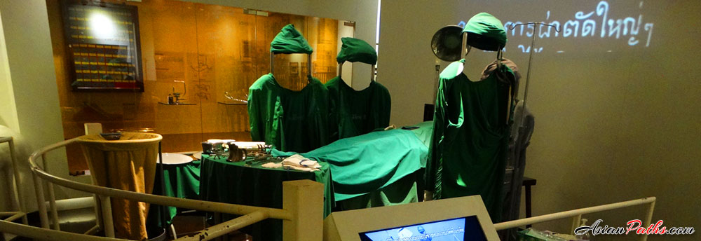 Parasitology Museum | Siriraj Medical Museum | Bangkok