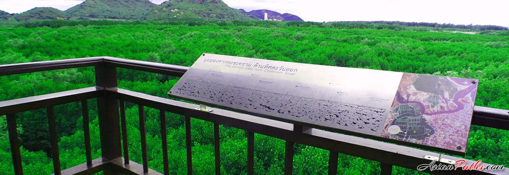 Sirinart Rajini Ecosystem Learning Center | Mangrove Forest Studies