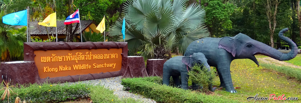 Khlong Na Kha Wildlife Sanctuary | Ranong
