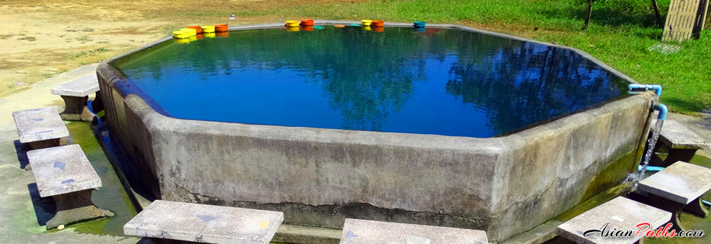 Phu Lum Phi Hot Spring | Ranong