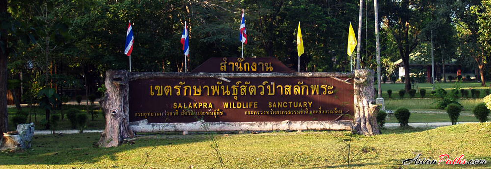Salakpra Wildlife Sanctuary | Kanchanaburi | Western Thailand