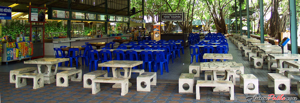 Food Center | Sam Phran Elephant Ground and Zoo | Nakhon Pathom