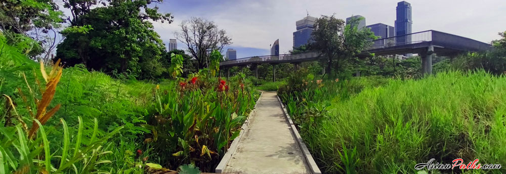 Walking Paths | Benchakitti Park | Khlong Toei | Bangkok
