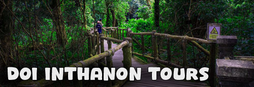 Doi Inthanon National Park Tours in Thailand