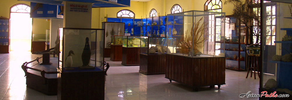 Museum of Oceanography in Nha Trang, Vietnam