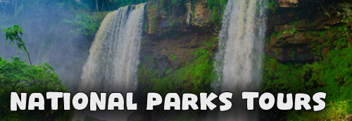 Thailand�s National Parks Tours